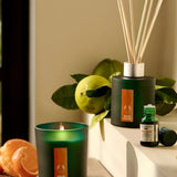 Boost Mandarin & Bergamot Uplifting Scented Candle