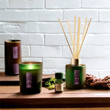 Sleep Lavender & Vetiver Relaxing Fragrance Diffuser
