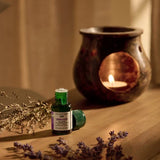 Sleep Lavender & Vetiver Relaxing Oil Burner Blend