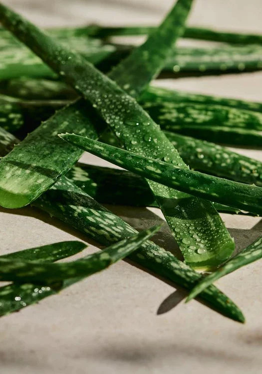 Aloe Calming Toner
