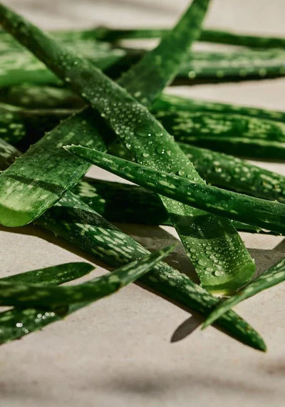 Aloe Calming Toner