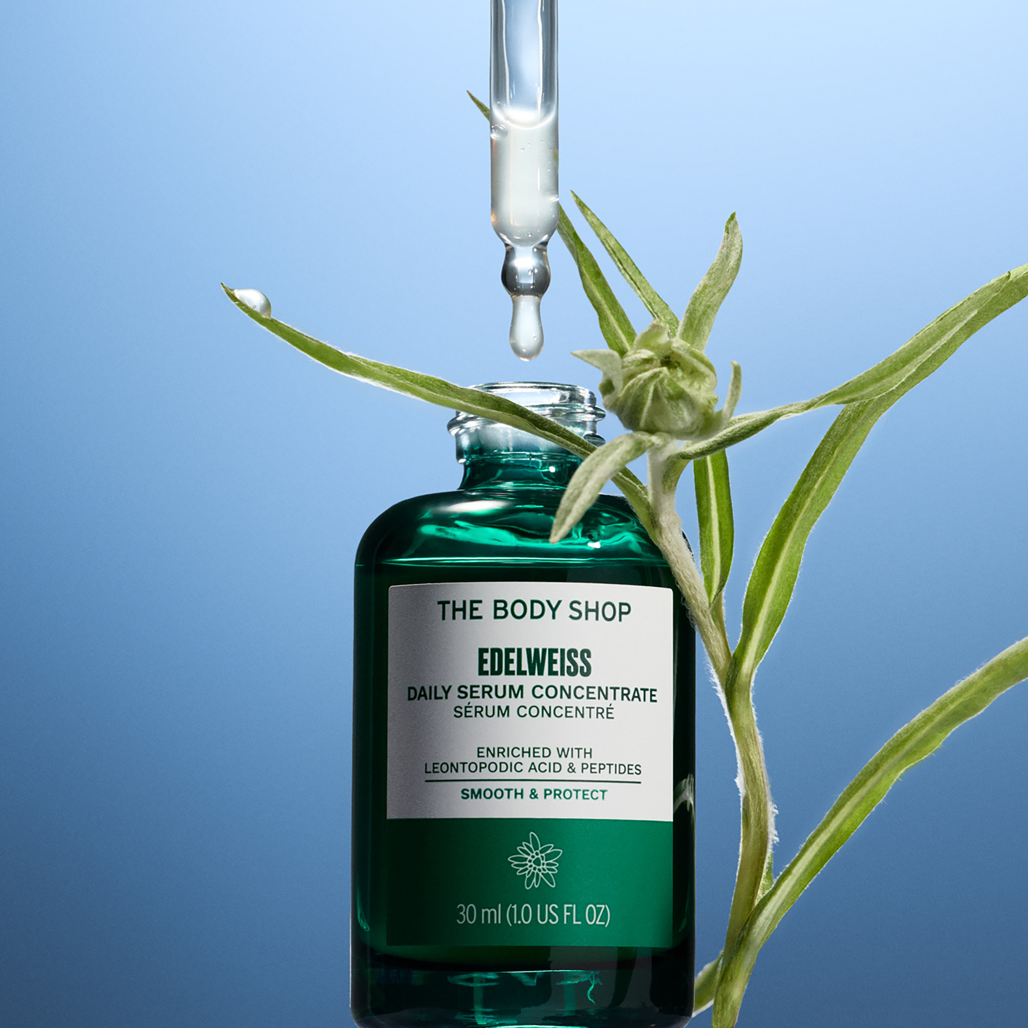 The Body Shop Edelweiss Daily Serum Concentrate 30ml image 2