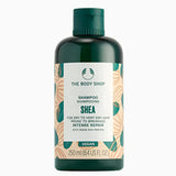 Shea Intense Repair Shampoo