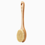 Cactus Long Handle Brush